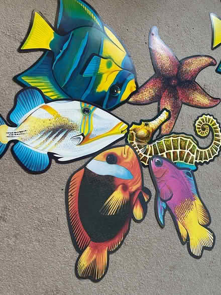 Photo of free Assorted sea creatures (Phippsville) #1