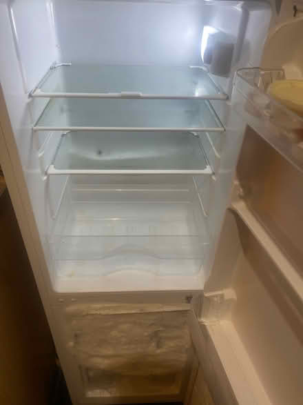 Photo of free Small fridge (Edinburgh EH13) #3
