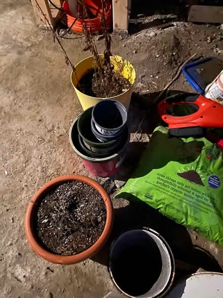 Photo of free Flower pots, stand from bed frame (Lowell and highland) #4