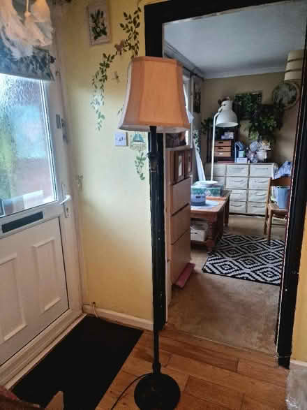 Photo of free Standard Lamp (Borough Green TN15) #1