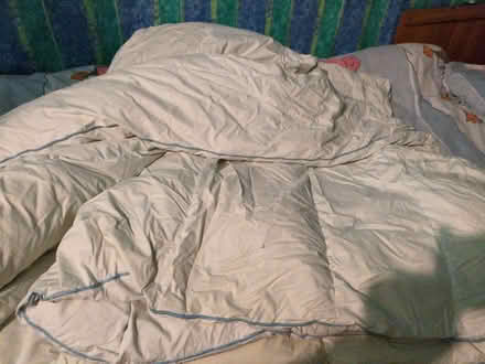 Photo of free Old duvet (Chatham ME5) #1