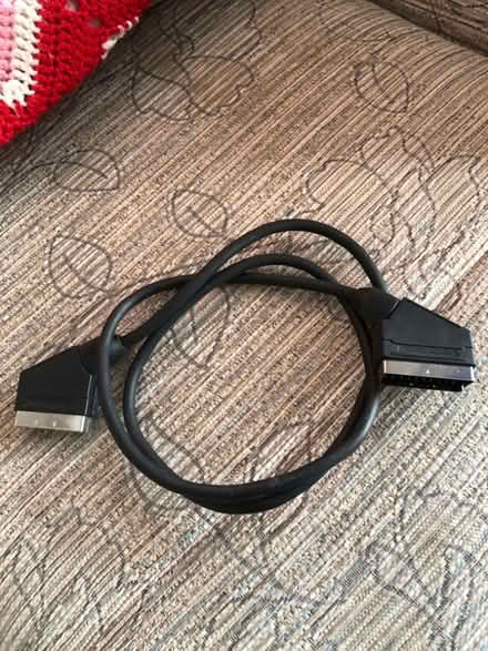 Photo of free Scart Cable (Littleover DE23) #1