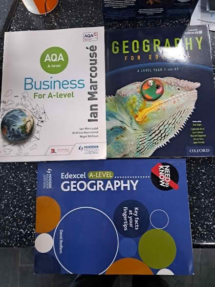 Photo of free A level Geography and Business books (Botley OX2) #1