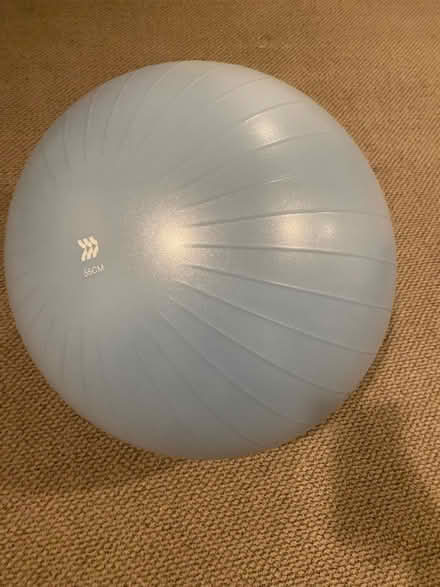 Photo of free Exercise Ball (Clarendon) #1