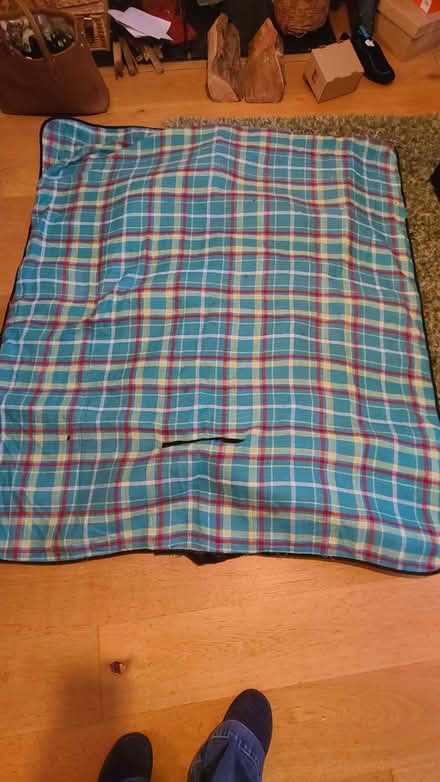 Photo of free Picnic blanket (Curbridge OX29) #1