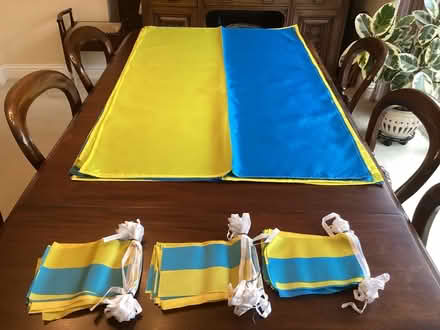 Photo of free Strings of bunting in Ukrainian colours (Braughing SG11) #1