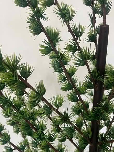 Photo of free Vintage Christmas Tree (Thurnby Leicester LE7) #3