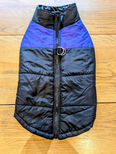 Photo of free Coat for a medium-sized dog (Upper Holloway N19) #1