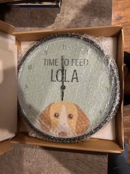 Photo of free Clock with dog and Lola name (Lower Stondon SG16) #1