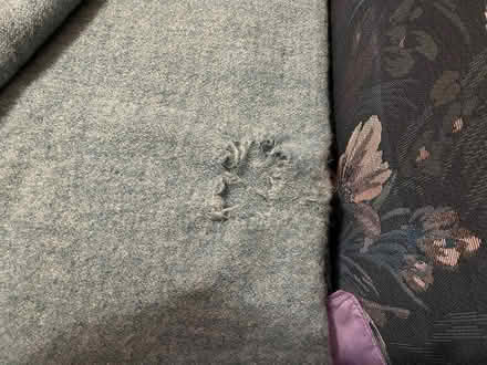 Photo of free Wool blanket with holes (Hintonburg) #2