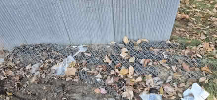 Photo of free chain link fence (Edwardsburg) #1