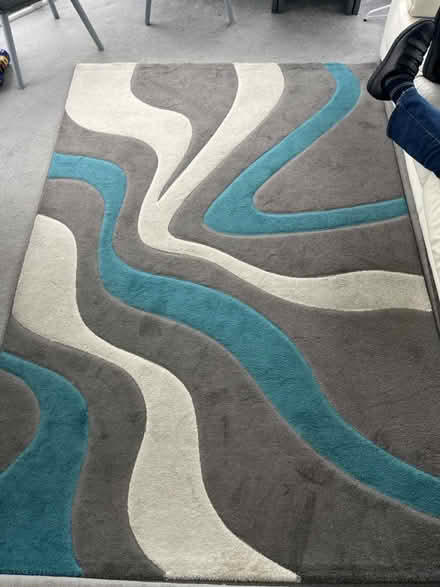 Photo of free Large rug 2m x 290 (Ol16) #2