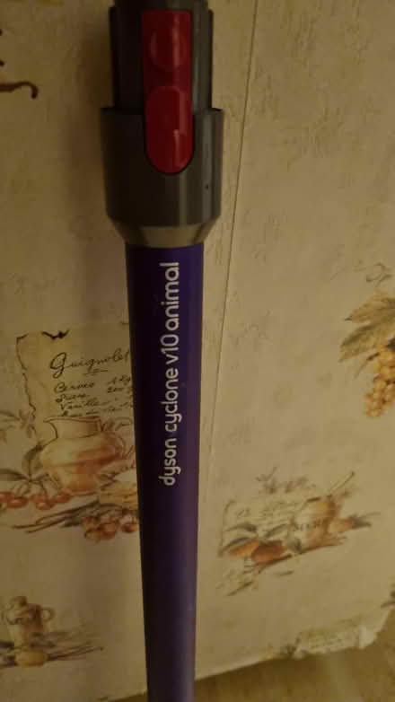 Photo of free Dyson stick only (St albans AL4) #2
