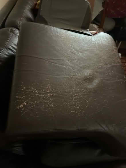 Photo of free Cushions (Twerton) #1