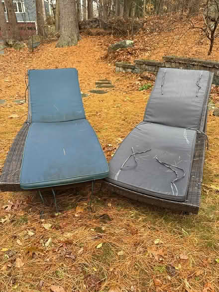 Photo of free Lounge chair (Acton, MA) #3