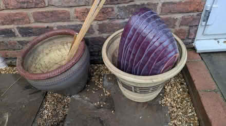 Photo of free Assortment of garden pots (CH43) #2