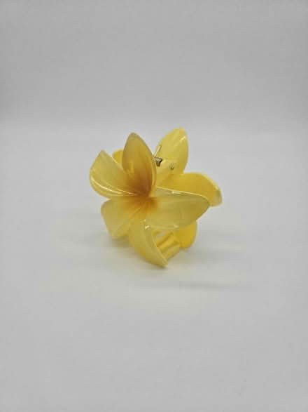 Photo of free Photo box (Freehold LA1) #4