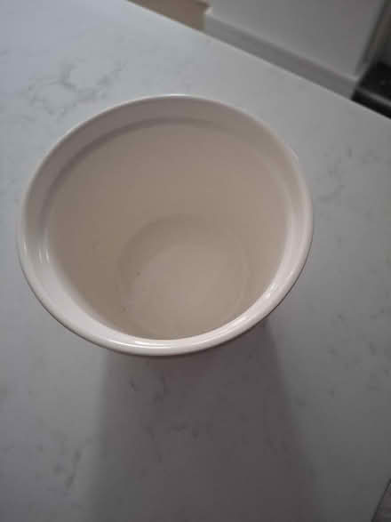 Photo of free Popcorn bowl (Springfield CM1) #2