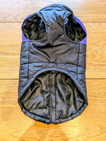 Photo of free Coat for a medium-sized dog (Upper Holloway N19) #2