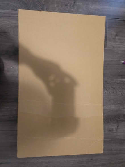 Photo of free Cardboard sheets (RG28 7AE) #1
