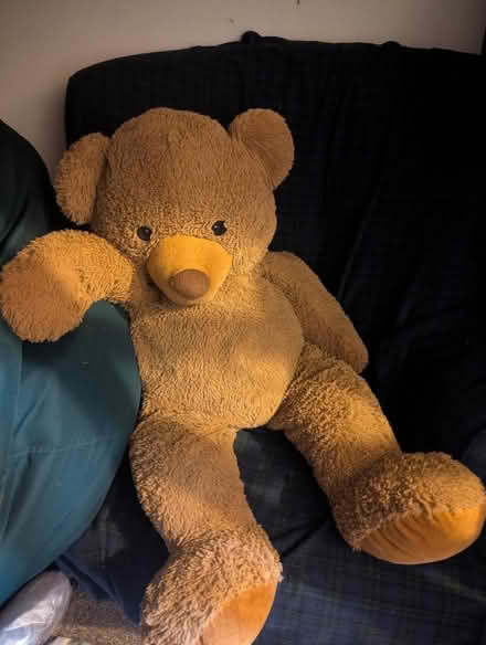 Photo of free Biiig teddybear (Moorlands LA1) #1