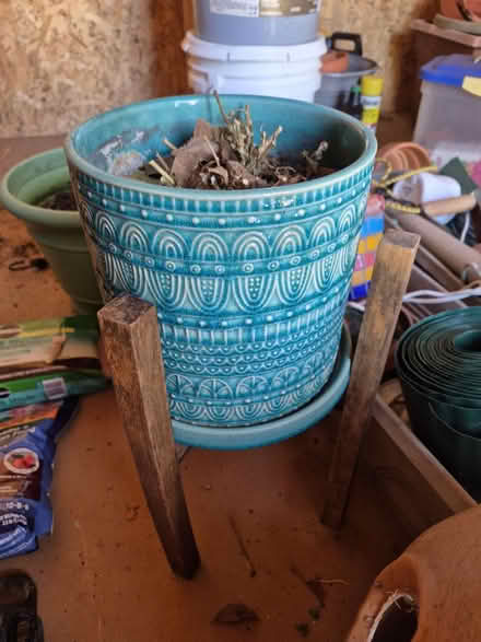 Photo of free Plant pots (20817) #1