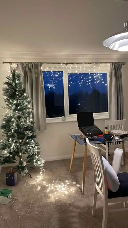 Photo of free Snowy Christmas tree to give away (HP13) #2