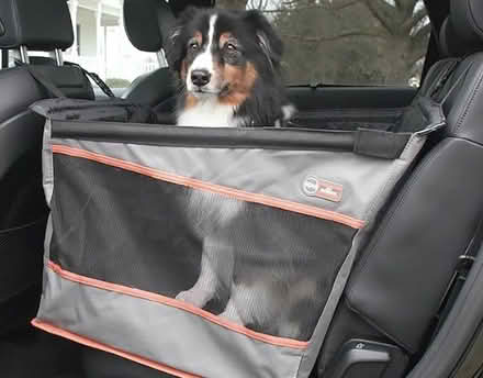 Photo of free dog bed for car (Metuchen NJ) #1