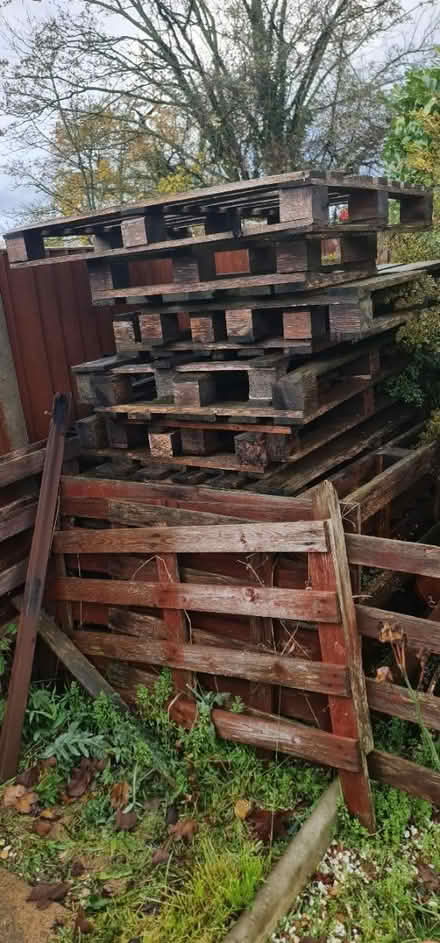 Photo of free Wood pallets (Carbrooke, near Murco Garage) #1