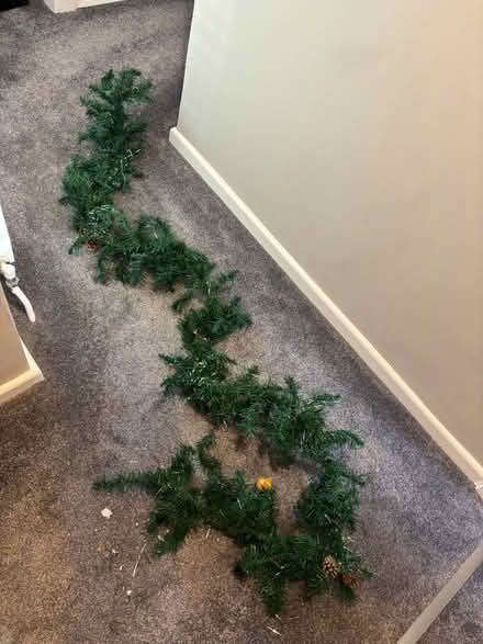 Photo of free Festive garland (UpperHale GU9) #1