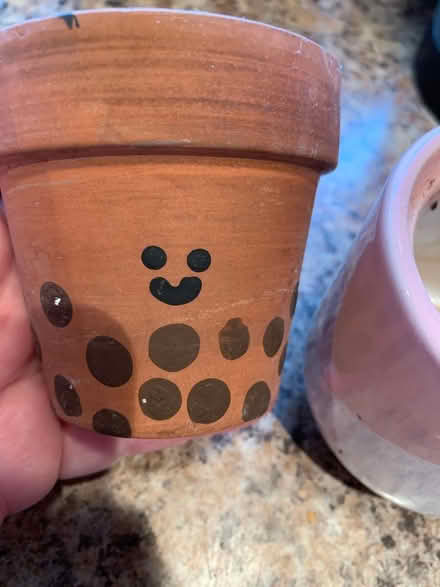 Photo of free 2 small planters (South Brampton) #2