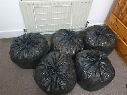 Photo of free Five black bags full of foam crumb (SOUTHAMPTON so18) #1