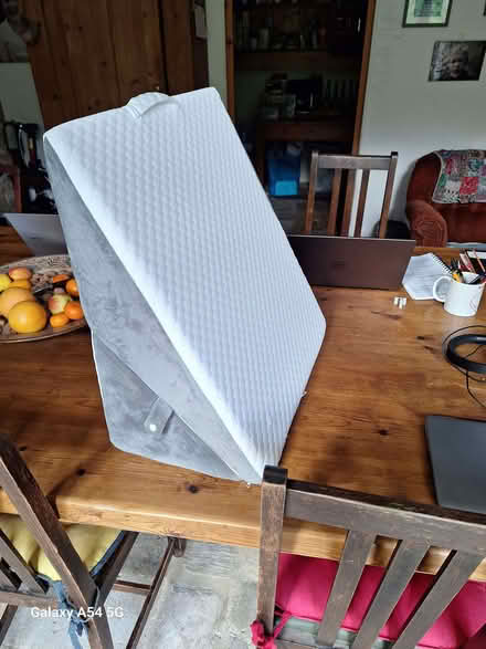 Photo of free Back support pillow (Hyde GL6) #2