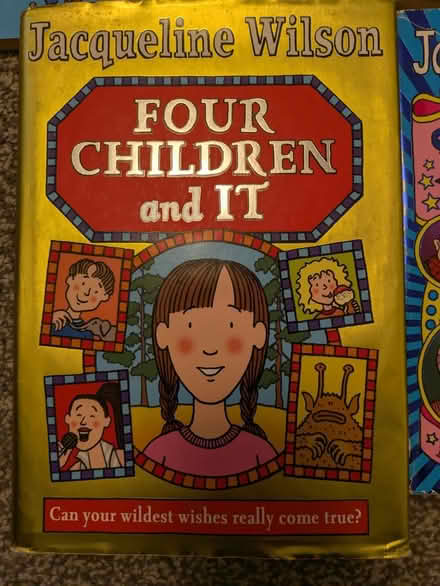 Photo of free Jacqueline Wilson Books (Cale Green SK2) #3