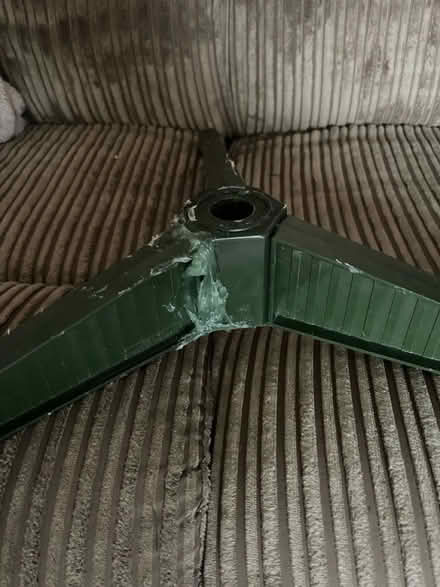 Photo of free Tree (Slyne) #1