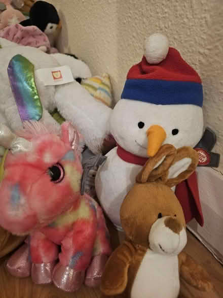 Photo of free Soft Toys / Teddies (Kingston KT2) #4