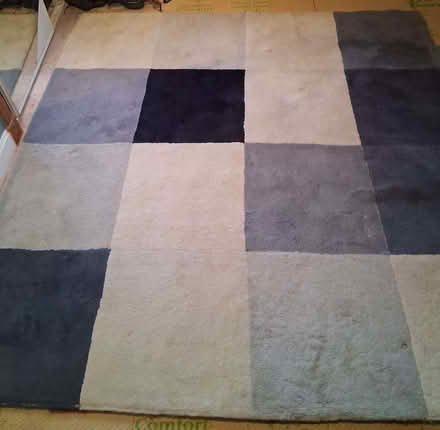 Photo of free Large IKEA rug (Clarkston G76) #4