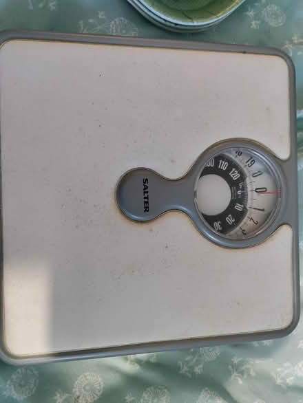 Photo of free Salter body scales (BN42) #1