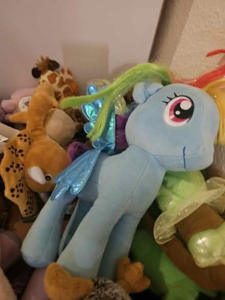 Photo of free Soft Toys / Teddies (Kingston KT2) #1