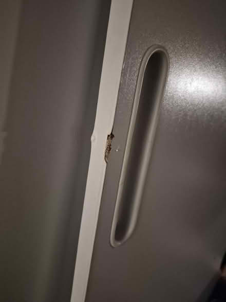 Photo of free Triple sleeper (Malmesbury SN16) #3