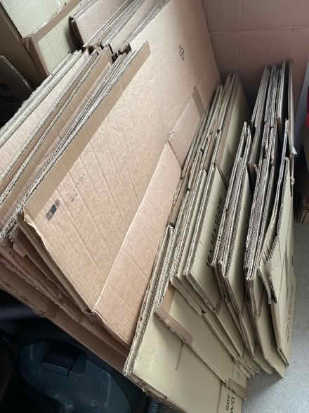 Photo of free Packing cases and wardrobe hangers (Richmond) #4