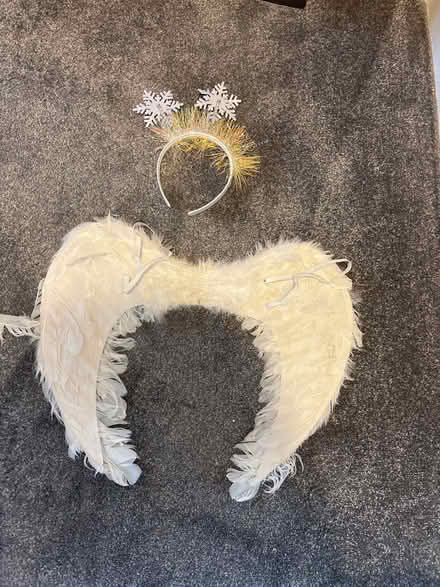 Photo of free Angel wings and head band (UpperHale GU9) #1