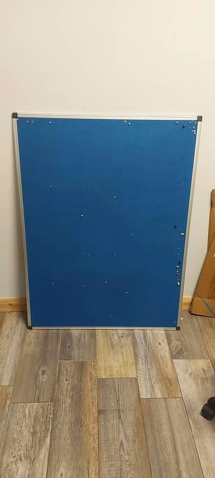 Photo of free Blue pin board (Hastings TN34) #1