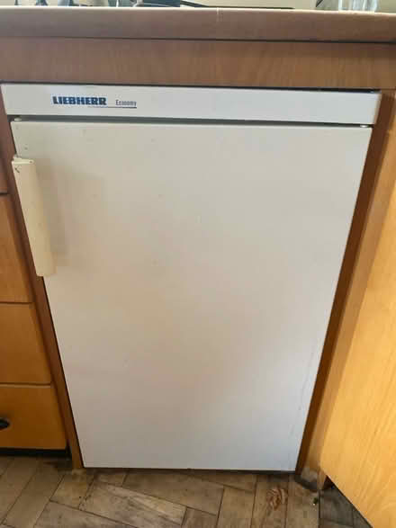 Photo of free Fridge (Forest Row RH18) #1