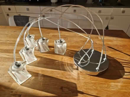 Photo of free Cluster pendant ceiling light (Finchampstead RG40) #1