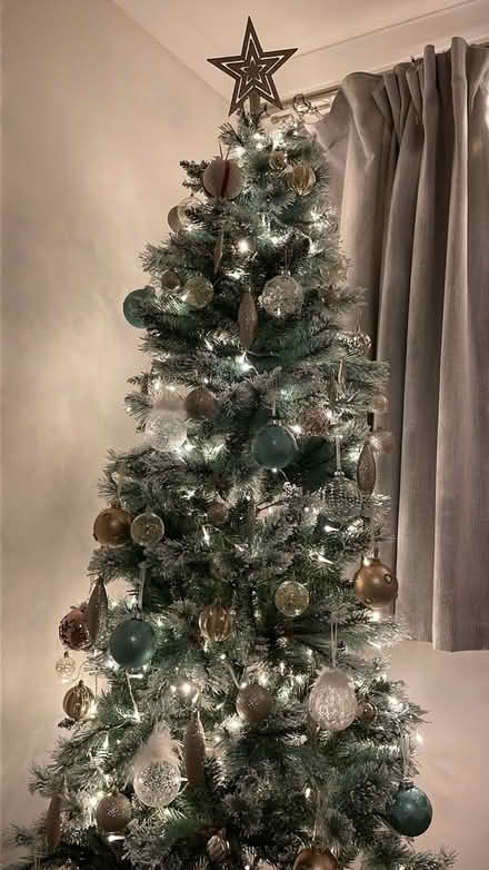 Photo of free Snowy Christmas tree to give away (HP13) #1