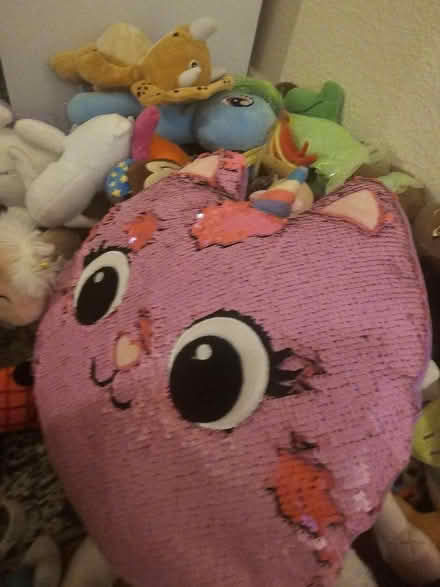 Photo of free Soft Toys / Teddies (Kingston KT2) #2