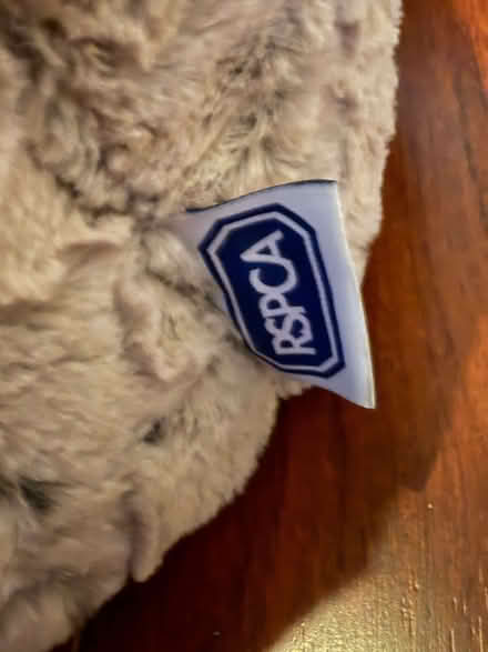 Photo of free RSPCA Cat Bed (Earlswood RH1) #4