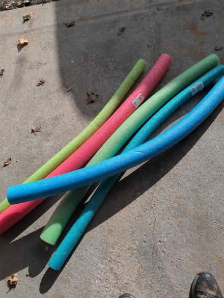 Photo of free Pool noodles (Bayview and Wellington) #1