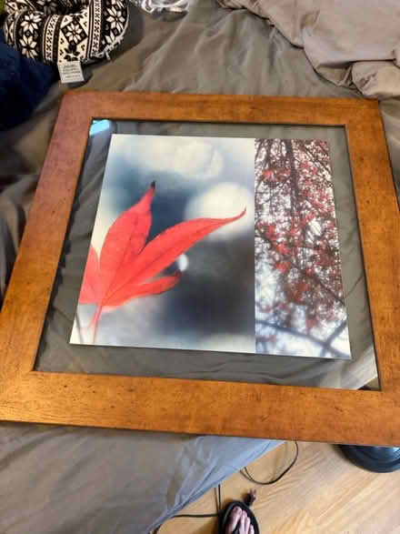 Photo of free Glass framed picture (Severna Park) #1